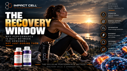 THE RECOVERY WINDOW